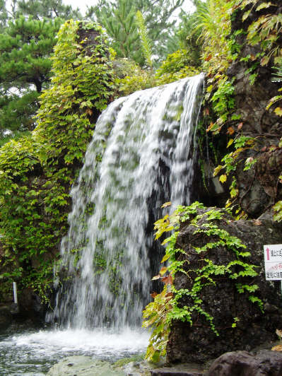 d0001008_5573397.jpg