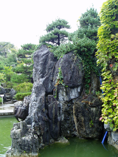 d0001008_557525.jpg