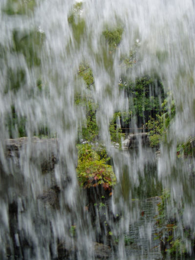 d0001008_5582624.jpg