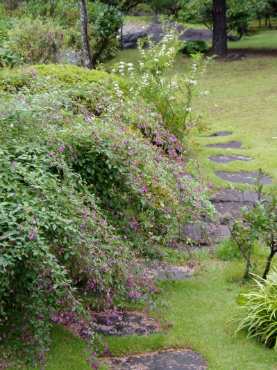 d0001008_55932100.jpg