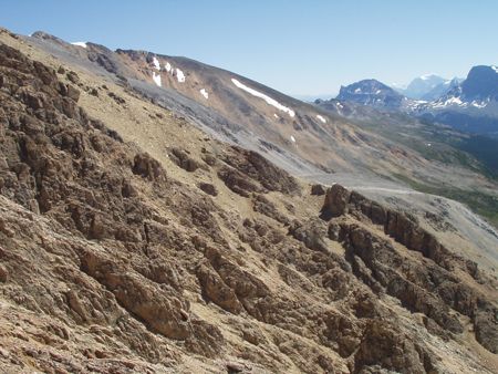 b0051109_8434170.jpg