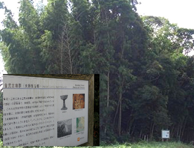 b0273309_21293490.jpg