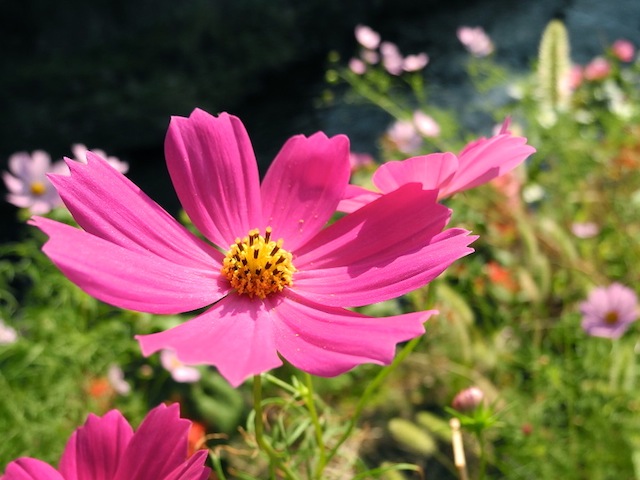 c0248013_18174245.jpg