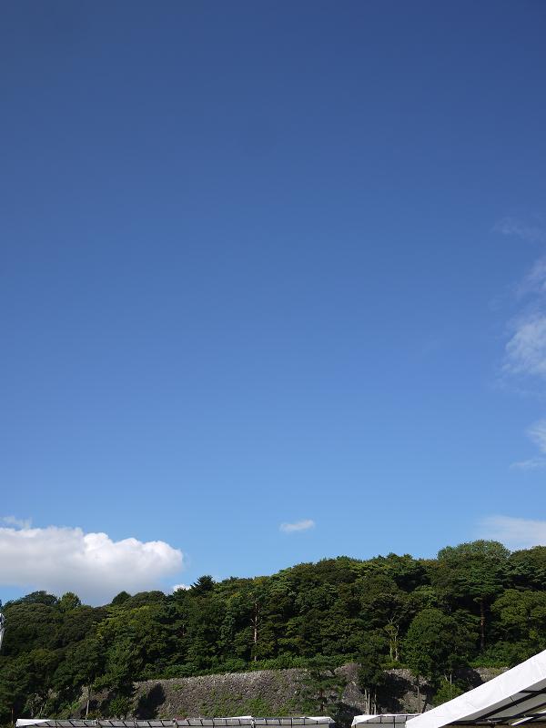 d0166614_2244676.jpg