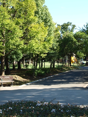 a0153515_21435147.jpg
