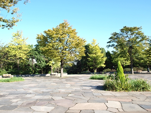 a0153515_21493931.jpg