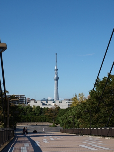 a0153515_220194.jpg