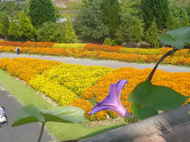 e0026017_22251896.jpg