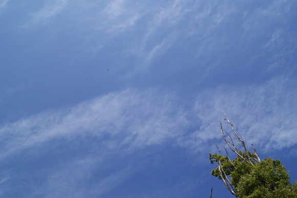c0020320_17433959.jpg