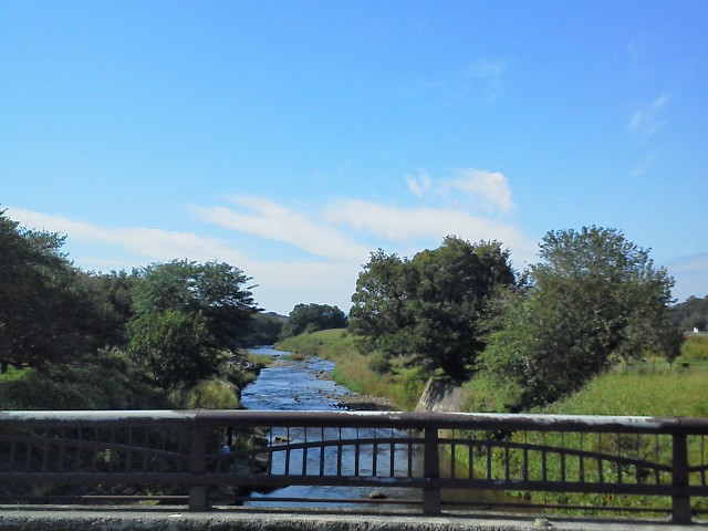 a0268821_21372978.jpg