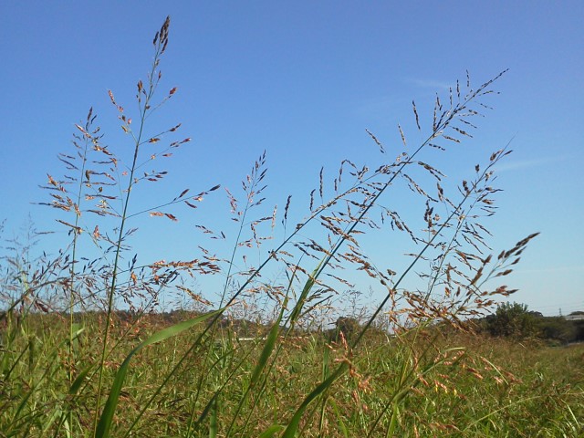 a0268821_21402799.jpg