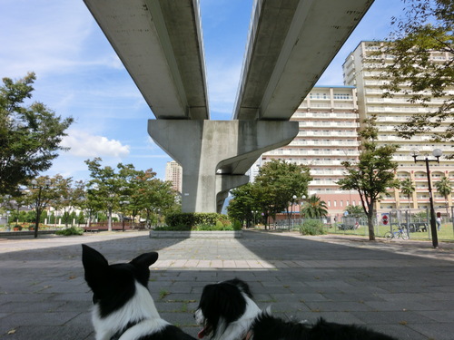 e0179321_16125517.jpg