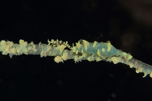 f0206424_17203286.jpg