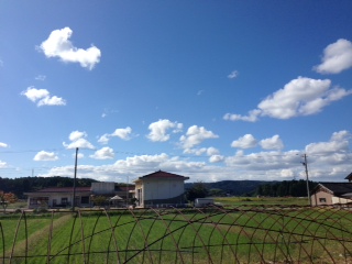 b0134529_19562025.jpg