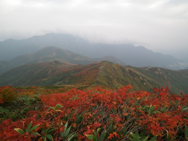 f0118332_22181658.jpg