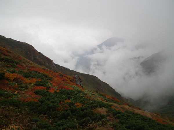 f0118332_22365843.jpg