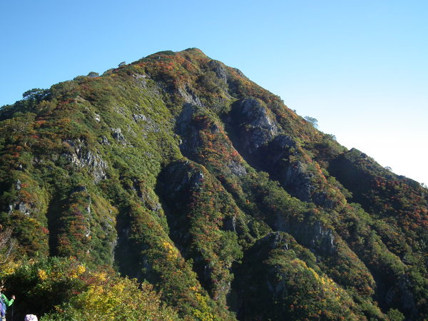 f0118332_2329953.jpg