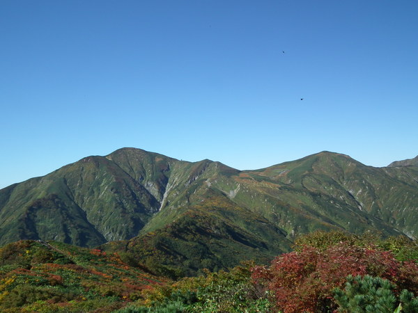f0118332_23301773.jpg