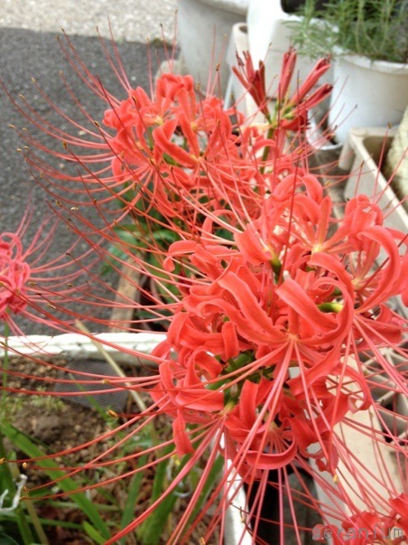 c0133533_22273188.jpg
