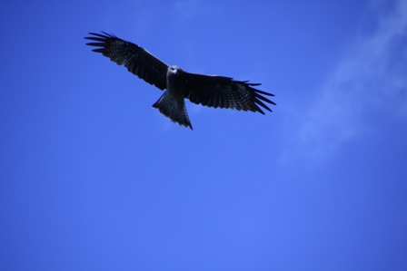 a0205834_23395155.jpg