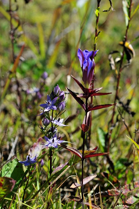 b0236334_20194652.jpg