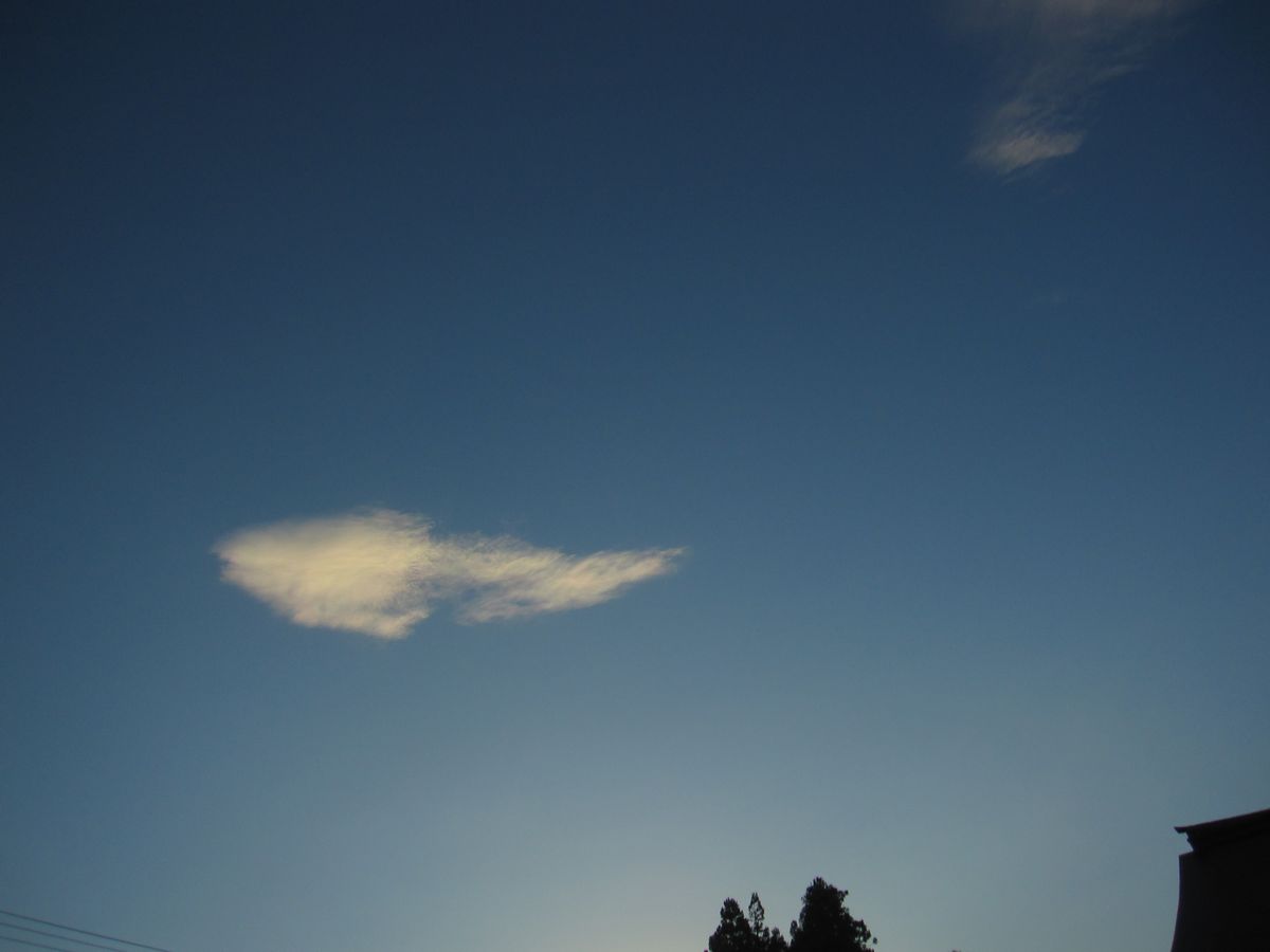 d0088735_2316412.jpg