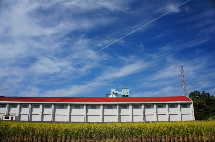 d0241937_21481673.jpg