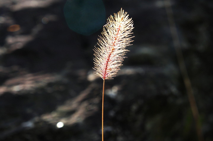 d0241937_2149621.jpg