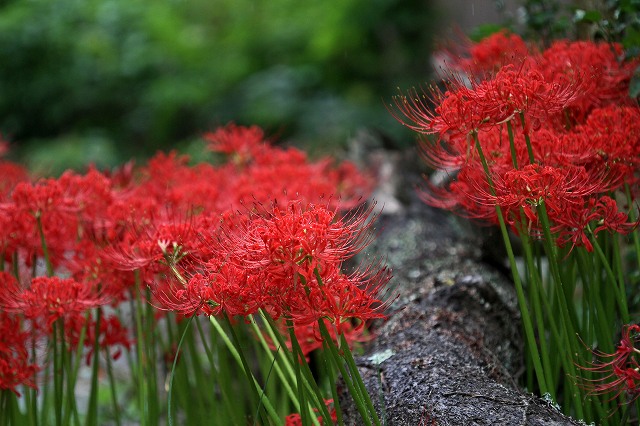 a0242438_1924318.jpg