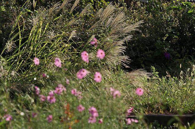 a0242438_193159100.jpg