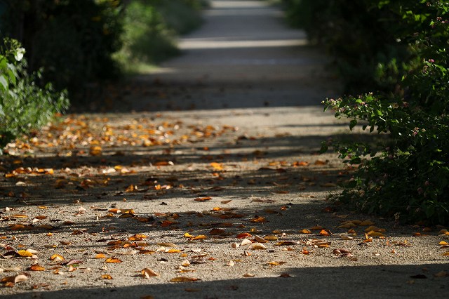 a0242438_19361177.jpg