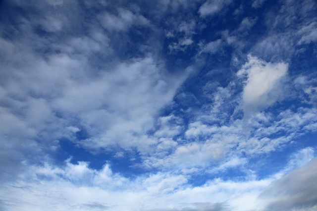 a0242438_19382094.jpg