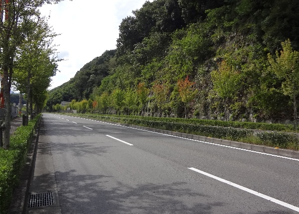 b0149340_1821610.jpg