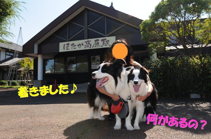 c0147241_18125889.jpg