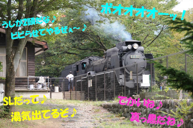 c0147241_1813732.jpg