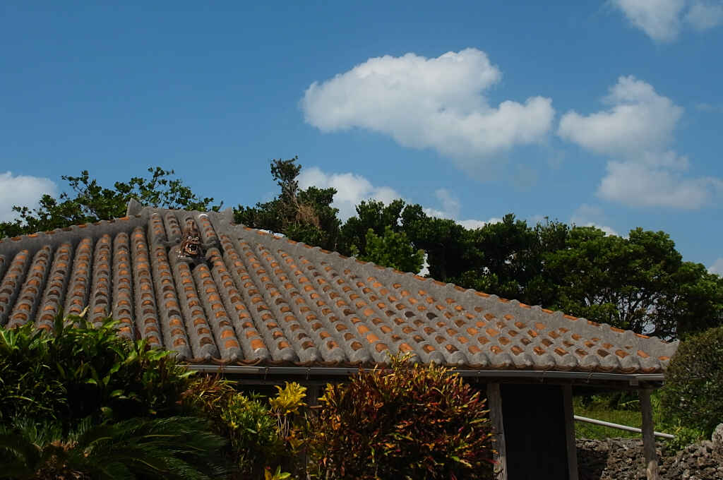 b0080944_20582333.jpg