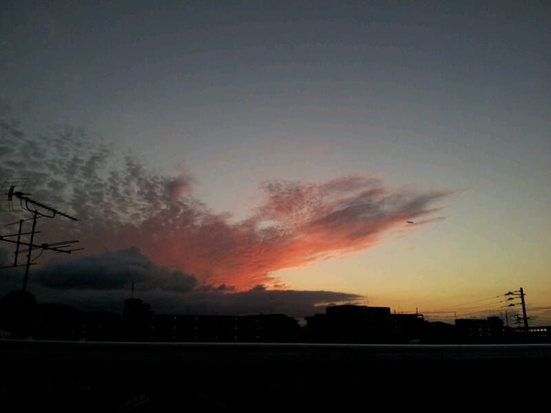c0189747_21581440.jpg