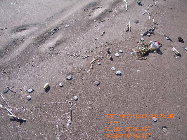 a0157451_1945098.jpg