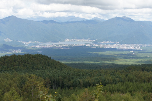 d0146153_1651921.jpg