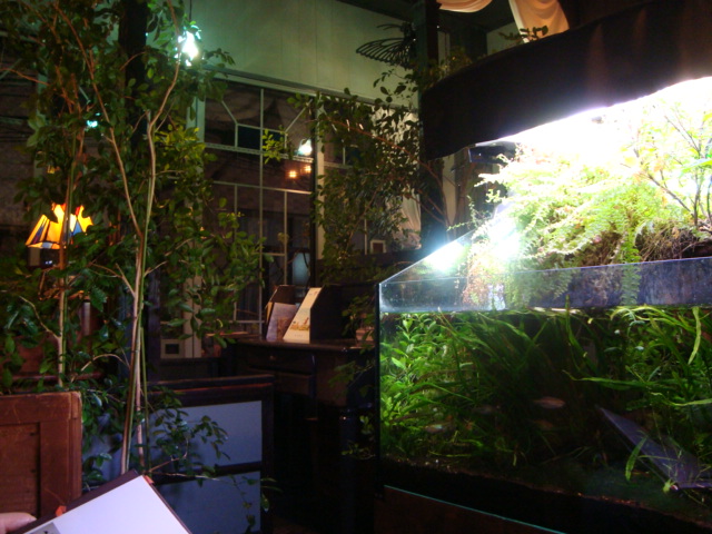 f0232060_10556.jpg