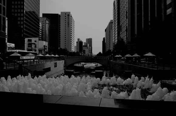 c0062361_19461388.jpg