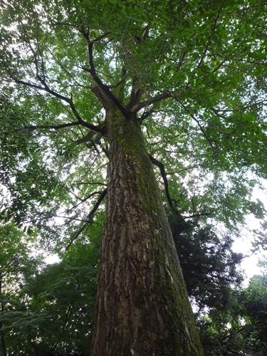 c0222861_1037486.jpg
