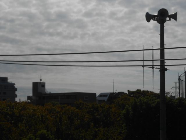 b0194872_1032590.jpg