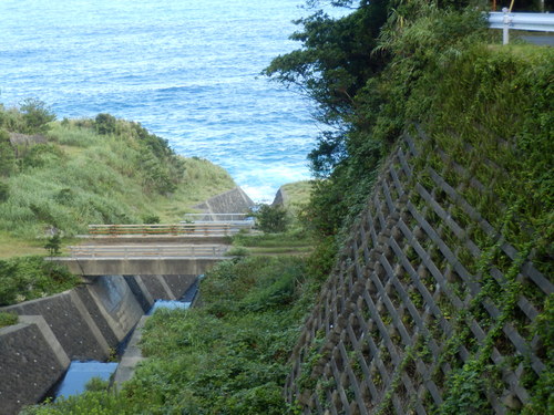 e0292172_20364555.jpg