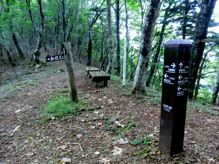 b0185573_19483219.jpg