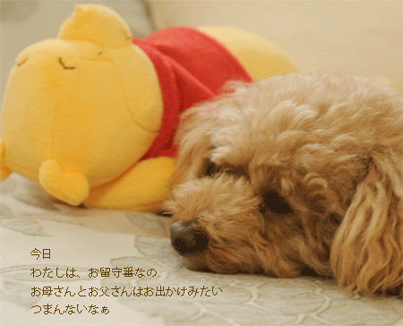 c0196673_8274683.gif