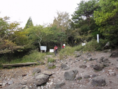 d0182075_3245171.jpg