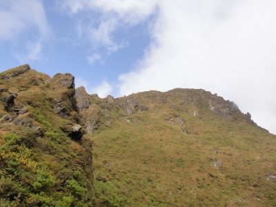 d0182075_3331845.jpg