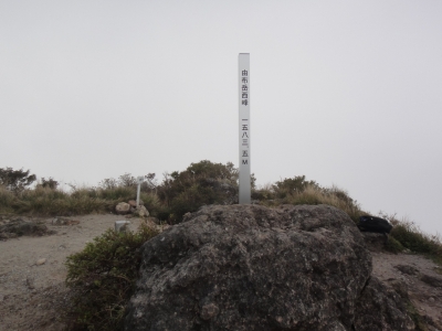 d0182075_340539.jpg