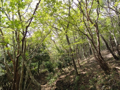 d0182075_41266.jpg